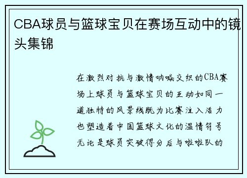 CBA球员与篮球宝贝在赛场互动中的镜头集锦